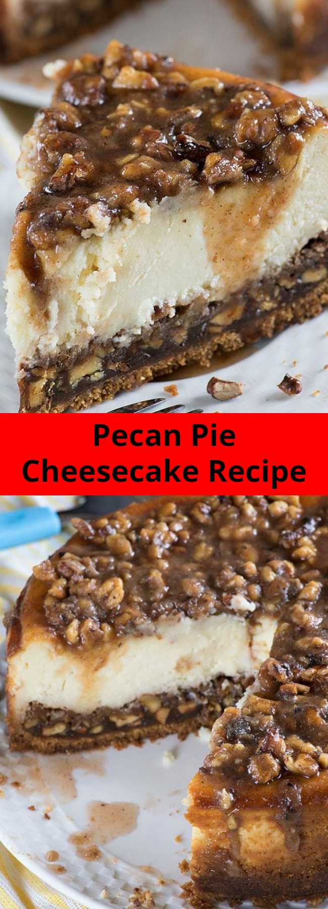 Easy Pecan Pie Cheesecake Recipe - This dreamy Pecan Pie Cheesecake is the perfect Thanksgiving treat. A combination of classic pecan pie and creamy cheesecake makes a tasty twist of two traditional treats!
