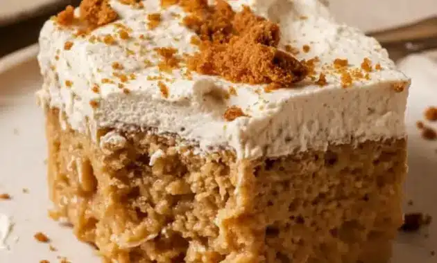 Homemade Tres Leches Cake slice on a plate, topped with cookie-butter whipped cream and crushed Biscoff crumbs.