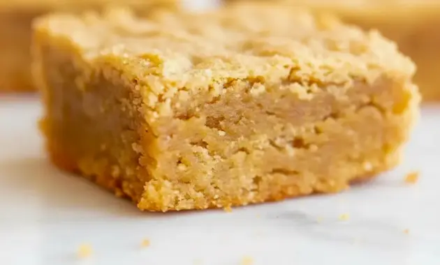 Close-up of a warm, crackly-topped Peanut Butter Brownies square with a melting scoop of vanilla ice cream beside it.