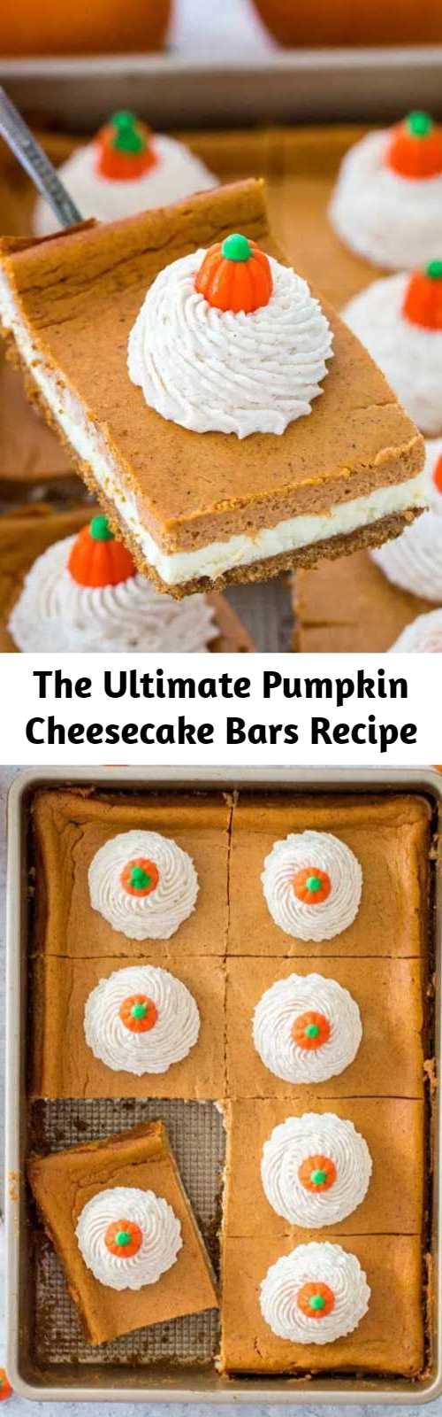 The Ultimate Pumpkin Cheesecake Bars Recipe - Pumpkin Cheesecake Bars are luxuriously creamy and rich, with lots of pumpkin flavor. Topped with a hefty amount of homemade cinnamon whipped cream.