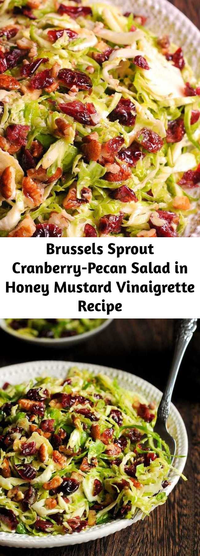 Brussels Sprout Cranberry-Pecan Salad in Honey Mustard Vinaigrette Recipe - This delicious Honey Mustard Brussels Sprout Salad with Cranberries and Pecans is all about crisp, shredded Brussels sprouts tossed with slightly sweet honey mustard vinaigrette, dried cranberries and chopped pecans. Perfect for potlucks or holiday meals, but you may find it to be a perfect complement to your everyday dinner as well. And it’s gluten-free! #salad #fall #thanksgiving #holiday #christmas #healthy