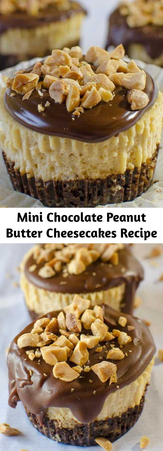 Mini Chocolate Peanut Butter Cheesecakes Recipe - Mini Chocolate Peanut Butter Cheesecakes are delicious individual portions of peanut butter cheesecakes with chocolate graham cracker crust and chocolate ganache topping. This cute homemade cheesecake recipe is a great dessert for your child’s school bake sale, or your next party!