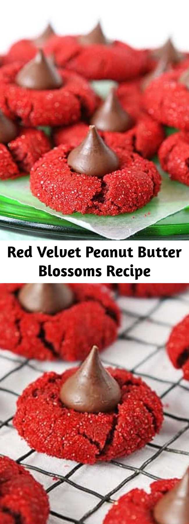 Red Velvet Peanut Butter Blossoms Recipe - This is a soft cookie that is crisp on the outside and chewy on the inside. These delicious cookies are so fun to share! #redvelvetpeanutbutterblossoms #redvelvetkisscookies #kisscookies #cookies #cookierecipes #baking #christmascookies #christmascookieexchange #cookieexchange
