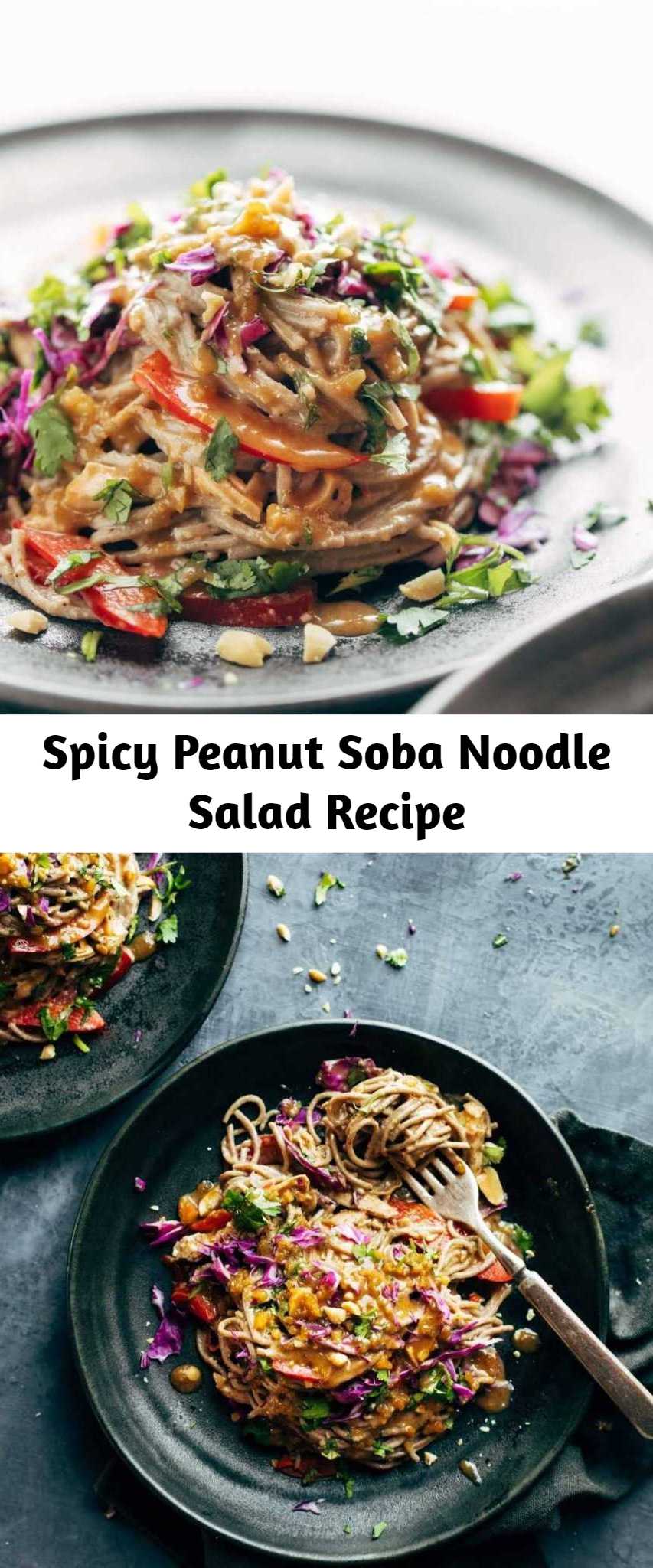 Spicy Peanut Soba Noodle Salad Recipe - Spicy Peanut Soba Noodle Salad featuring red peppers, cabbage, chicken, soba noodles, and a quick homemade spicy peanut sauce. Salads don’t get much yummier than this.