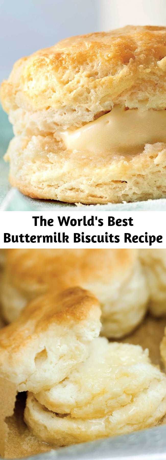 The World's Best Buttermilk Biscuits Recipe - This no-fail biscuit recipe will make you look like a pro, even if this is your first attempt at biscuit-making. And if you’re looking for something a little beyond a basic biscuit, try one of our delicious variations. However you make them, you’ll be rewarded with layer upon buttery layer of biscuit perfection. #buttermilkbiscuits