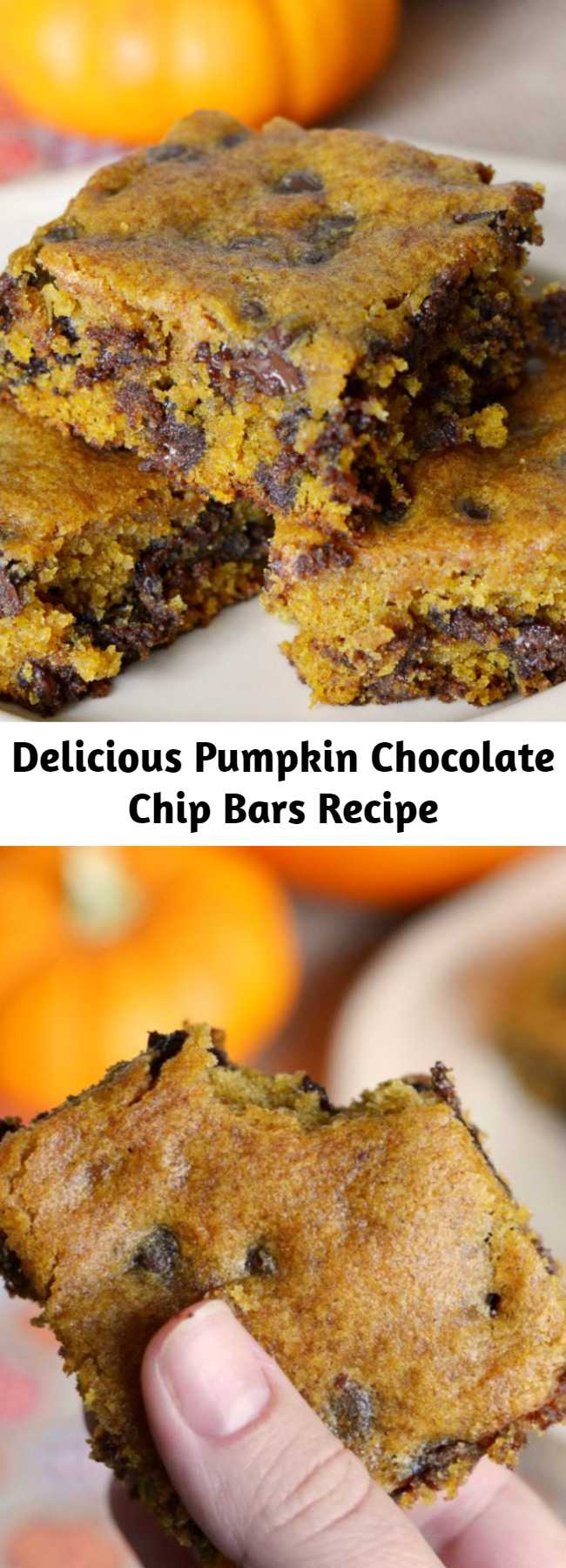 Delicious Pumpkin Chocolate Chip Bars Recipe - Soft, chewy, and delicious, these pumpkin chocolate chip bars are a delicious fall dessert! 