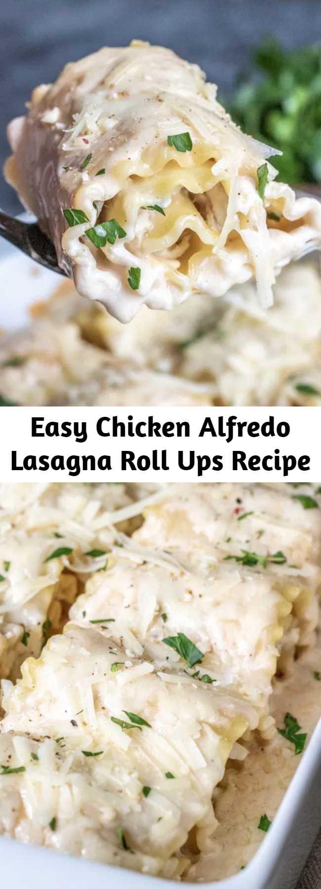 Easy Chicken Alfredo Lasagna Roll Ups Recipe - These Chicken Alfredo Lasagna Roll Ups are all of the flavors of classic Chicken Alfredo rolled up into lasagna noodles to make easy lasagna rolls. A simple weeknight dinner recipe that the whole family will love. #lasagna #chickenalfredo #pasta #casserole