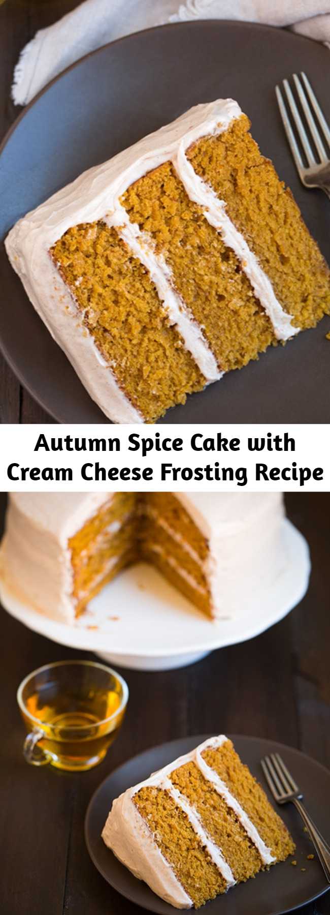 Autumn Spice Cake with Cream Cheese Frosting Recipe - This is one of my all time favorite fall cakes! It's perfectly moist and brimming with lots of those sweet autumn spices. It has a tender crumb and so much flavor in every bite. No one can resist a slice!