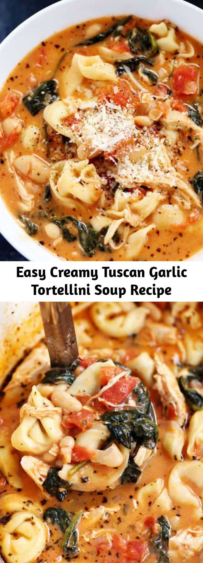 Easy Creamy Tuscan Garlic Tortellini Soup Recipe - Creamy Tuscan Garlic Tortellini Soup is so easy to make and one of the best soups that you will make! Tortellini, diced tomatoes spinach and white beans are hidden is the most creamy and delicious soup that your family will love!