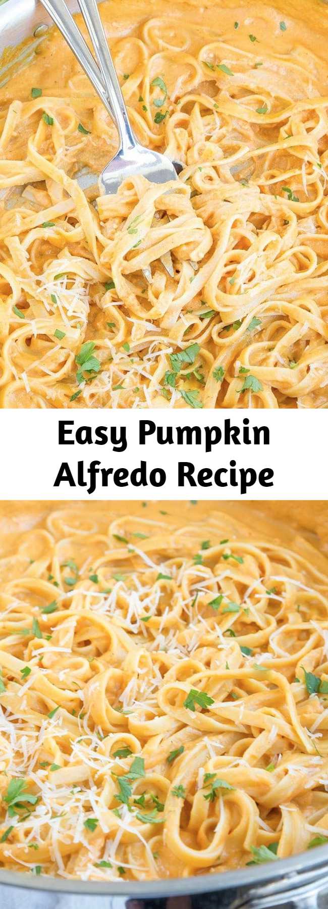 Easy Pumpkin Alfredo Recipe - This Pumpkin Alfredo is creamy, rich and delicious, and without all the calories and fat of a regular Alfredo sauce. A perfect fall dinner that's easy enough for a weeknight meal and you'll never miss the cream! - pumpkin recipes for the win!