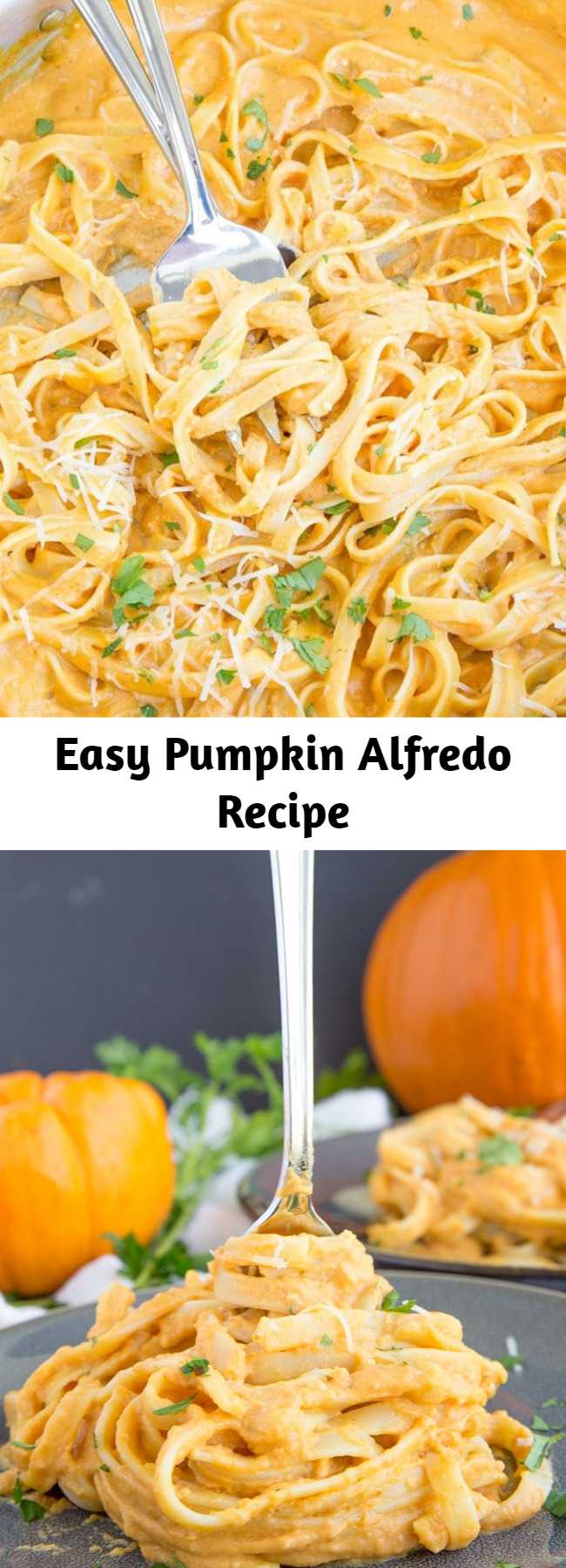 Easy Pumpkin Alfredo Recipe - This Pumpkin Alfredo is creamy, rich and delicious, and without all the calories and fat of a regular Alfredo sauce. A perfect fall dinner that's easy enough for a weeknight meal and you'll never miss the cream! - pumpkin recipes for the win!