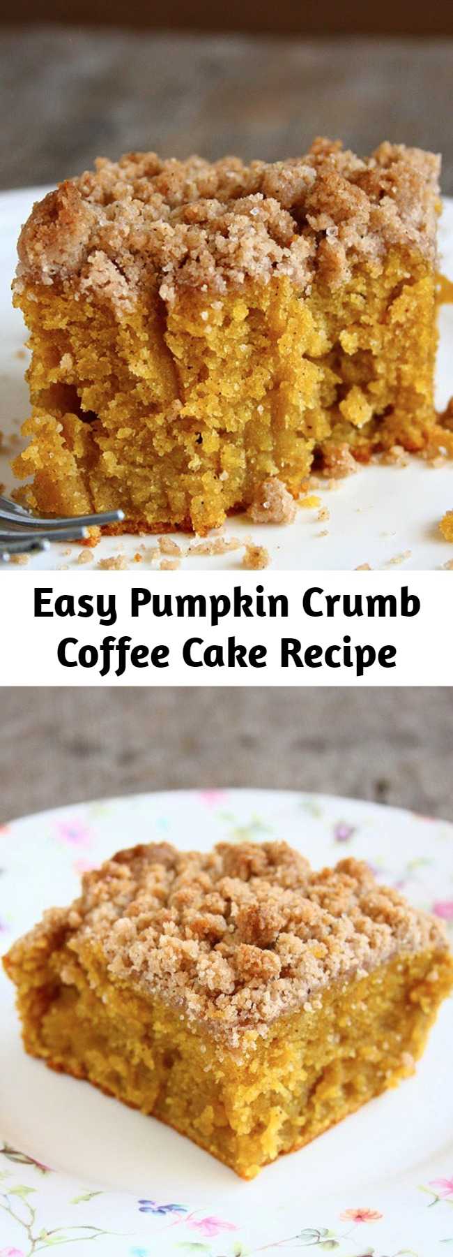 Easy Pumpkin Crumb Coffee Cake Recipe - This was the moistest coffee cake EVER. I even wasn't sure if I can call this a coffee cake. This is insanely moist. And It keeps moist for days. It wasn't too sweet, too spicy, too dry, too moist. It had a perfect texture and a sweet, crunchy crumb topping. What else could you want??