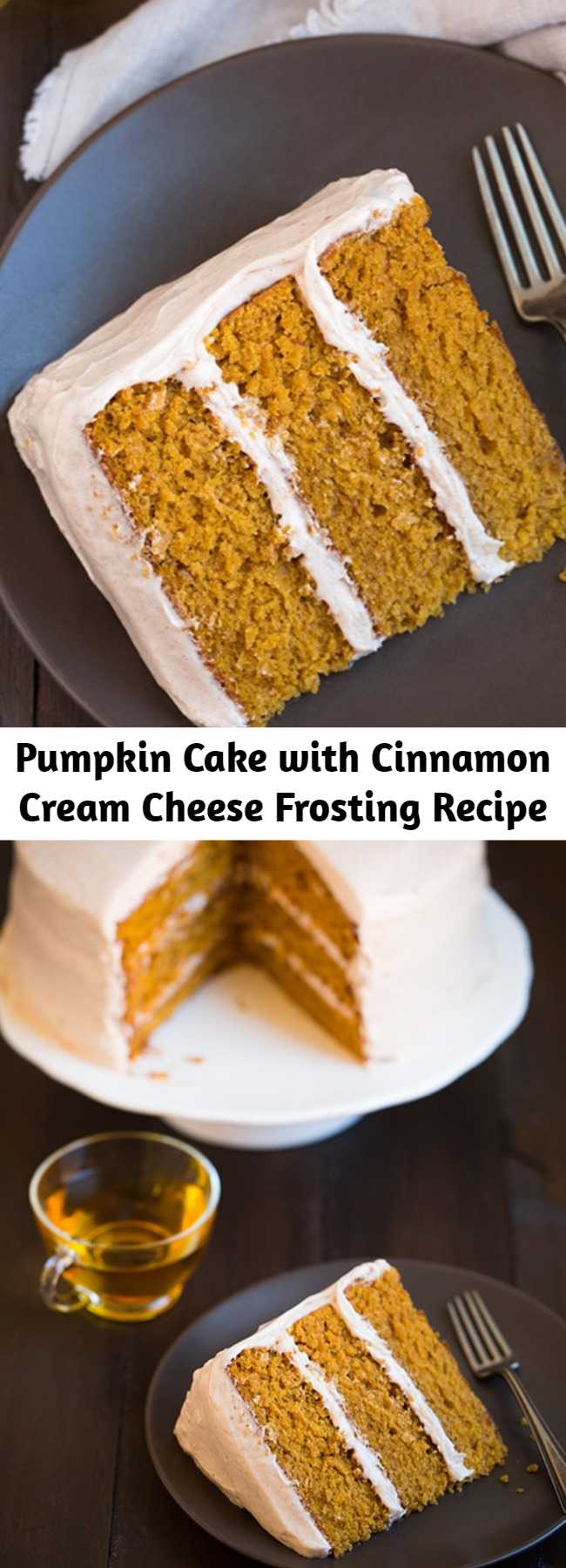 Pumpkin Cake with Cinnamon Cream Cheese Frosting Recipe - The tastiest pumpkin cake! It’s soft and moist with just the right amount of pumpkin and spice, and it's finished with the best frosting! This is one of my favorites! Melt-in-your-mouth delicious!!
