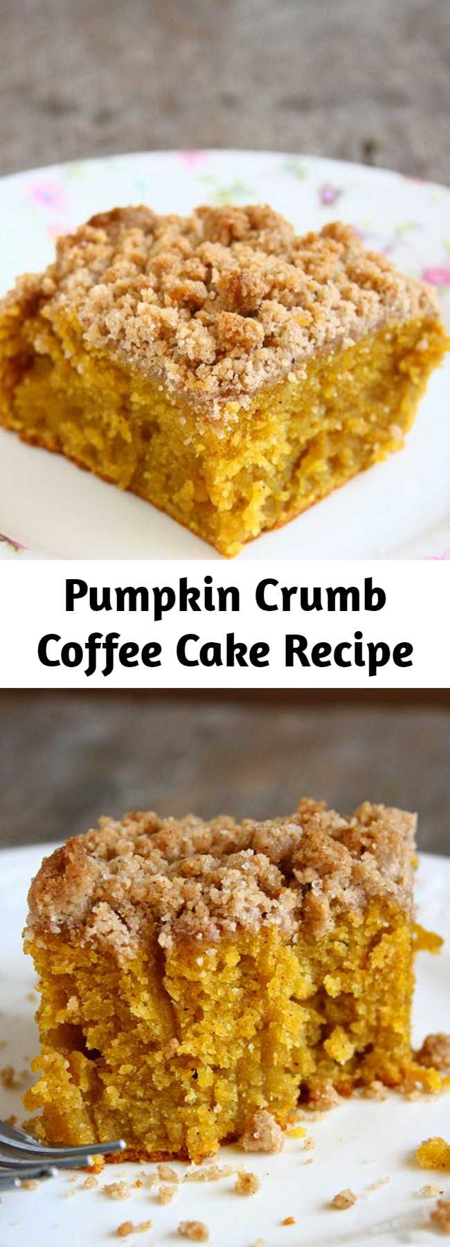 Pumpkin Crumb Coffee Cake Recipe - This was the moistest coffee cake EVER. I even wasn't sure if I can call this a coffee cake. This is insanely moist. And It keeps moist for days. It wasn't too sweet, too spicy, too dry, too moist. It had a perfect texture and a sweet, crunchy crumb topping. What else could you want??