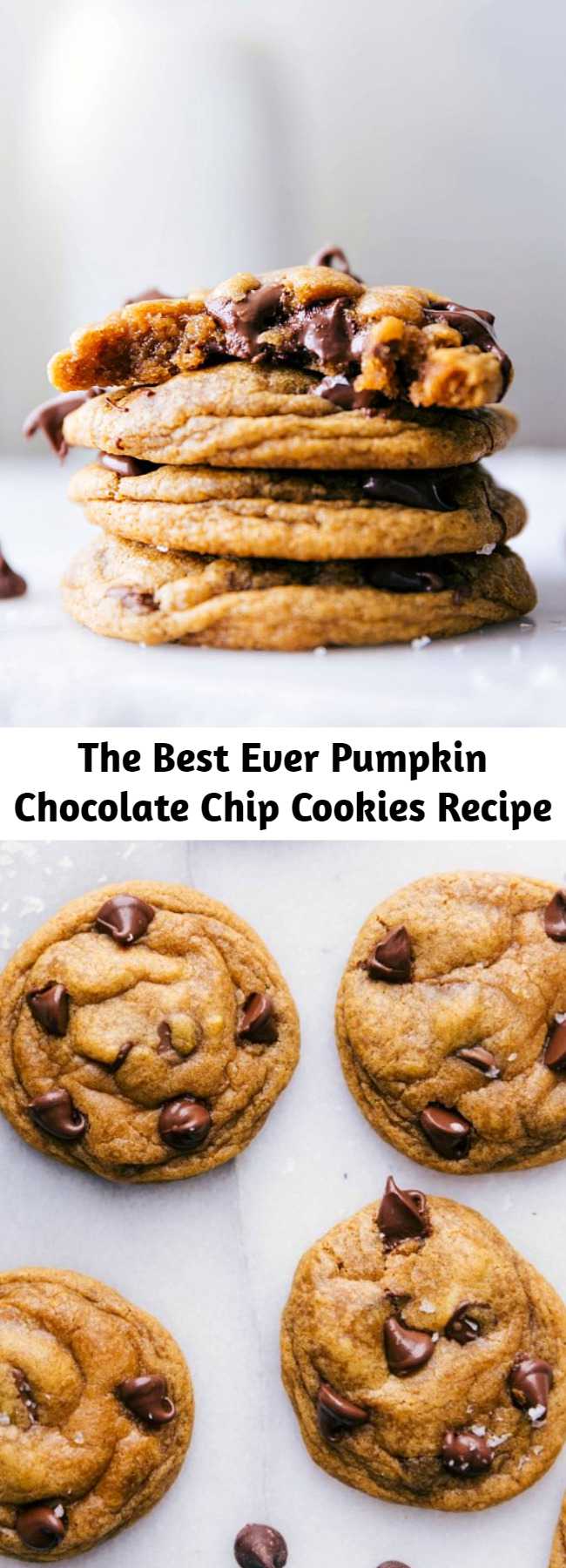 The Best Ever Pumpkin Chocolate Chip Cookies Recipe - The best-ever Pumpkin Chocolate Chip Cookies! These cookies are soft and chewy with crisp edges instead of typical cake-like pumpkin cookies.