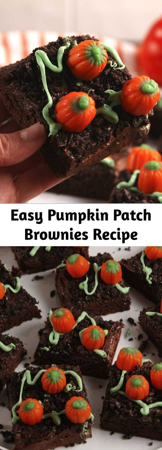 Easy Pumpkin Patch Brownies Recipe - Pumpkin patch brownies turn a regular boxed brownie into the cutest fall dessert. Top with crushed Oreos for dirt and nestle candied pumpkins to look like they are growing from the ground! So simple yet so sweet!