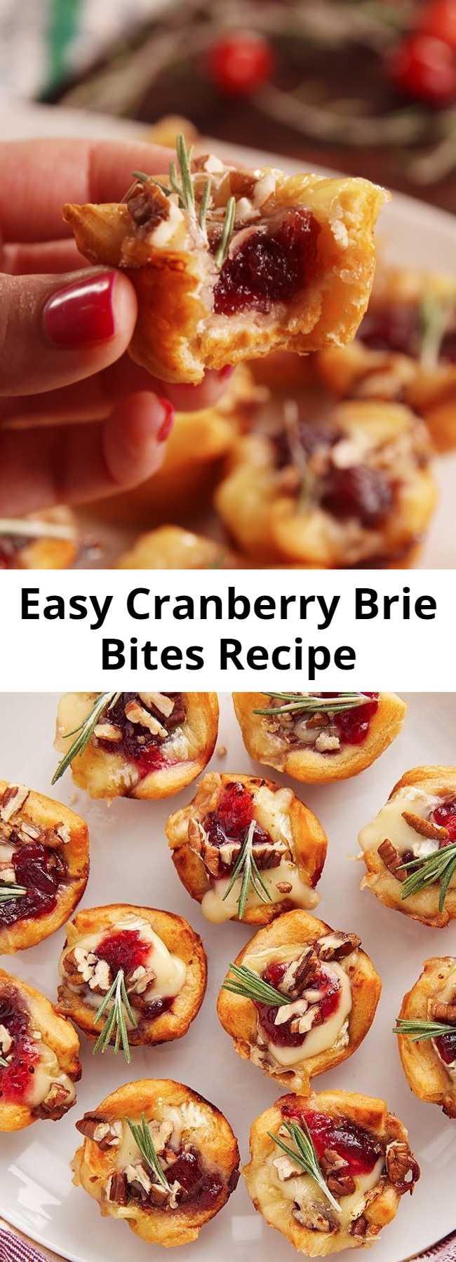 Easy Cranberry Brie Bites Recipe - These Cranberry Brie Bites are perfect for your next holiday party. Why make dough from scratch when everyone loves the canned stuff?! These little guys are the perfect appetizer to make during the holidays. Be warned: It'll forever change the way you think about brie. #easy #recipe #holidays #christmas #thanksgiving #party #appetizer #fingerfoods #apps #ideas #dinner #cranberry #brie #bites #muffintin #baked #crescentroll #pillsbury #bakedbrie