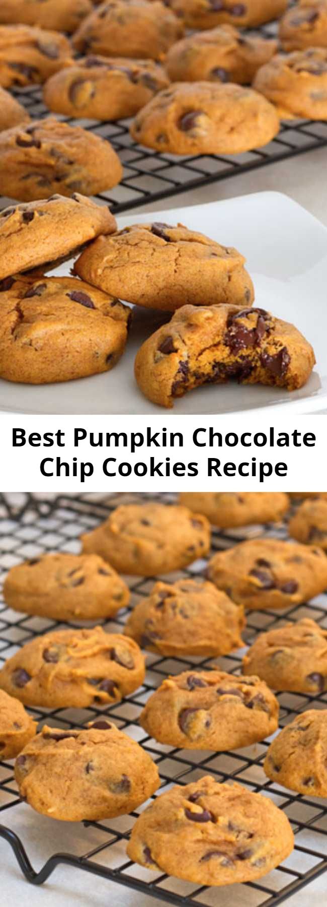 Best Pumpkin Chocolate Chip Cookies Recipe - These pumpkin chocolate chip cookies are the essential fall cookie! Chewy and cake-like, they're sure to be a hit at your next tailgate or fall party!