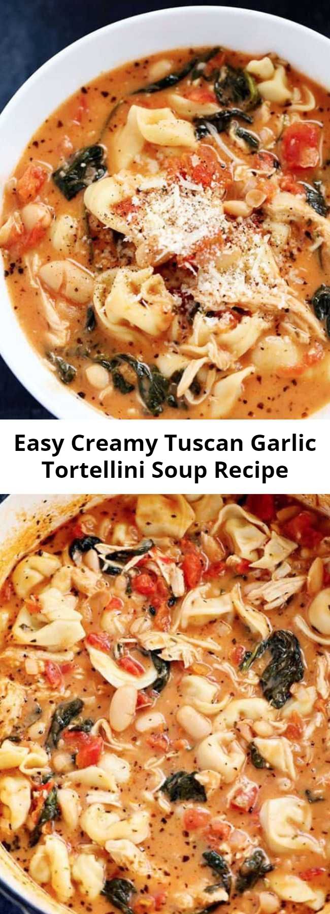 Easy Creamy Tuscan Garlic Tortellini Soup Recipe - Creamy Tuscan Garlic Tortellini Soup is so easy to make and one of the best soups that you will make! Tortellini, diced tomatoes spinach and white beans are hidden is the most creamy and delicious soup that your family will love!