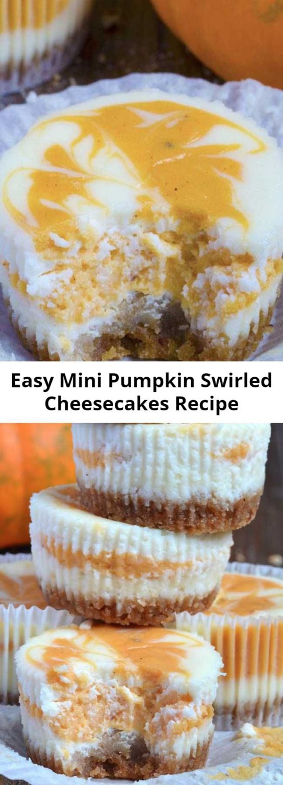 Easy Mini Pumpkin Swirled Cheesecakes Recipe – Mom Secret Ingrediets