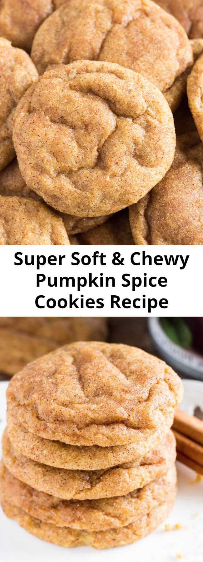 Super Soft & Chewy Pumpkin Spice Cookies Recipe - These pumpkin spice cookies are soft, chewy and perfect for fall. They’re filled with flavor thanks to the pumpkin, vanilla extract, & fall spices. Then they’re rolled in cinnamon sugar for a delicious coating that’ll remind you of snickerdoodles.